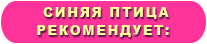 ����� ����� �����������