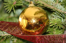 ����� ��� 2011-2012